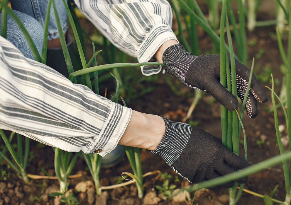 Các cách mà xu hướng tiêu dùng tác động đến trang trại của bạn